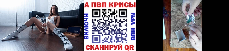 Alpha PVP СК  shop официальный сайт  Лодейное Поле 