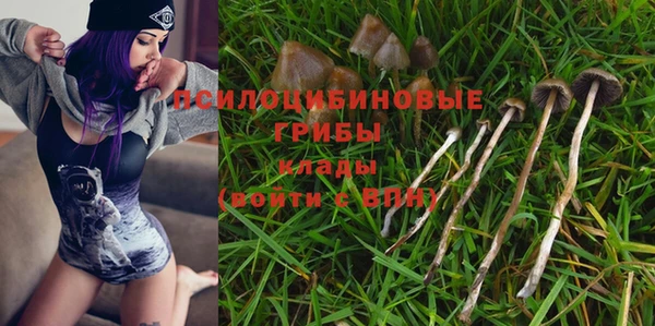 таблы Верхний Тагил