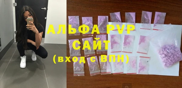 a pvp Бородино