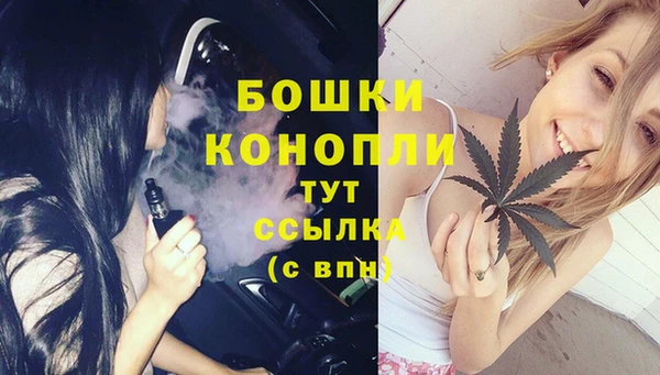 a pvp Бородино