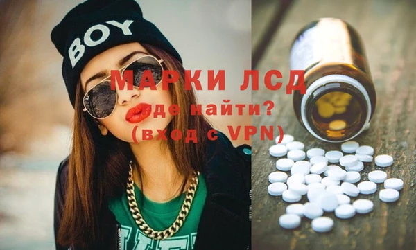 a pvp Бородино